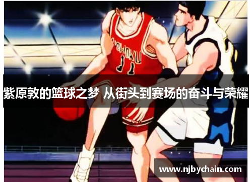 紫原敦的篮球之梦 从街头到赛场的奋斗与荣耀